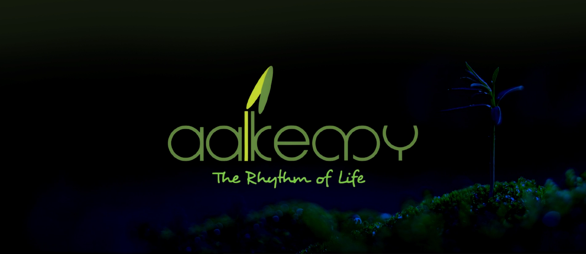AALKEMY-BANNER-HOME
